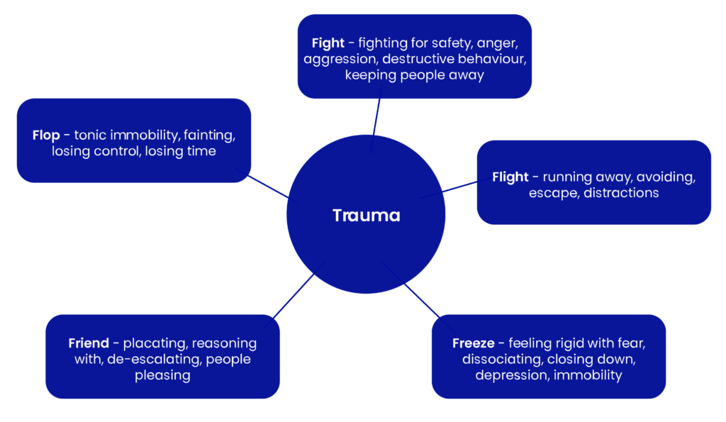 Diagram with 'Trauma' in the center, connected to five nodes: 'Fight,' 'Flight,' 'Freeze,' 'Friend,' and 'Flop'.